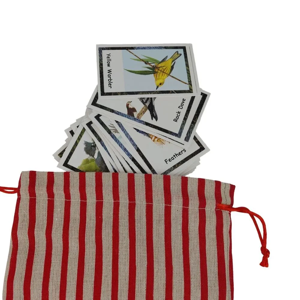 Match a Leaf: A Tree Memory Game Kirkham Bird Bingo Hammett Educational Games